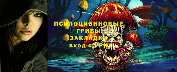 apvp Новозыбков